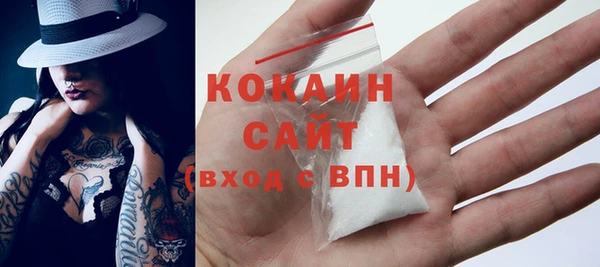 крисы Баксан