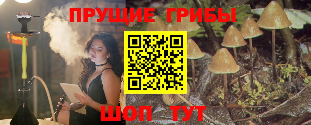 Псилоцибиновые грибы мухоморы  Вход с VPN  Коломна 